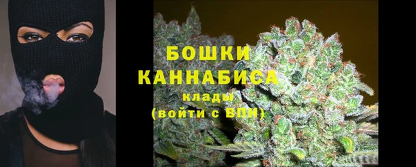 тгк Лиски